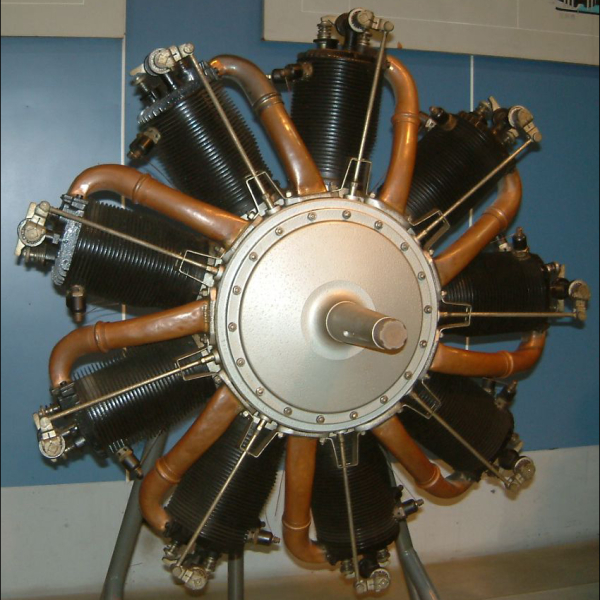 8.Двигатель Le Rhone 9C.