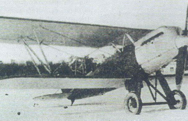1.Опытный истребитель Д-2. Москва 1929 г.