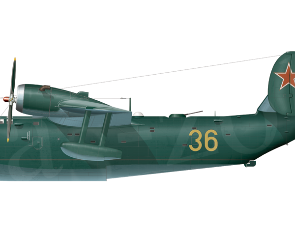 12е.Бе-6ПЛО авиации ВМФ СССР. Рисунок.