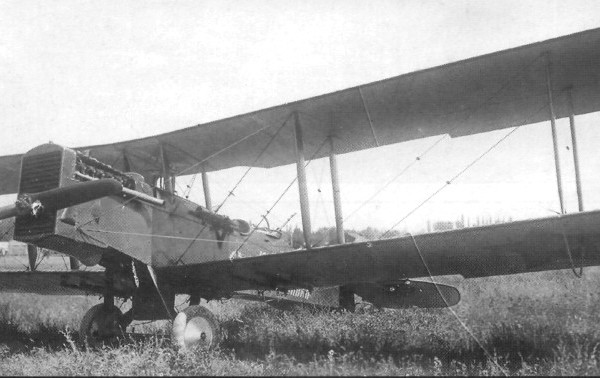 1б..Самолет пилота Бедрицкого из группы ОСНАЗ, Ташкент, май 1928г