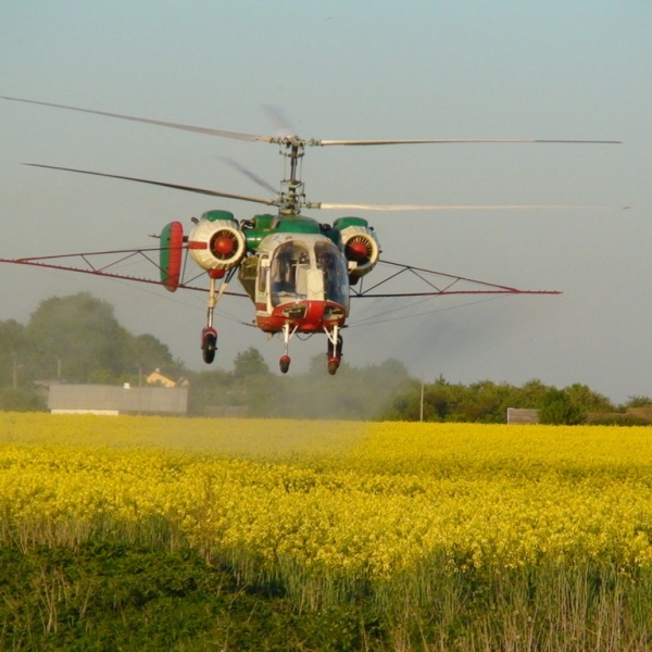 6.Вертолёт Ка-26 производит опрыскивание ядохимикатами.