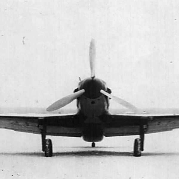 7.Серийный МиГ-1. Вид спереди.