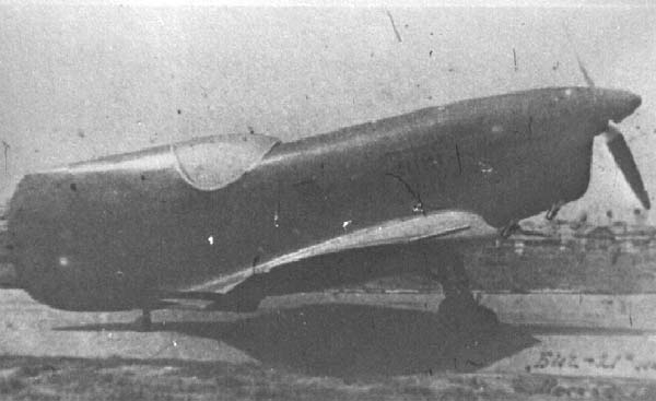 1.БИЧ-21 (СГ-1) легкий гоночный самолет.