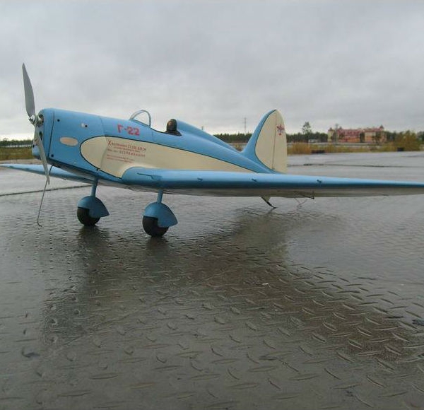 12а.Модель самолета Г-22. М 1-72.