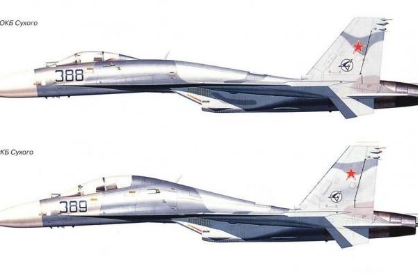 20а.Варианты окраски Су-27. Рисунок 1.
