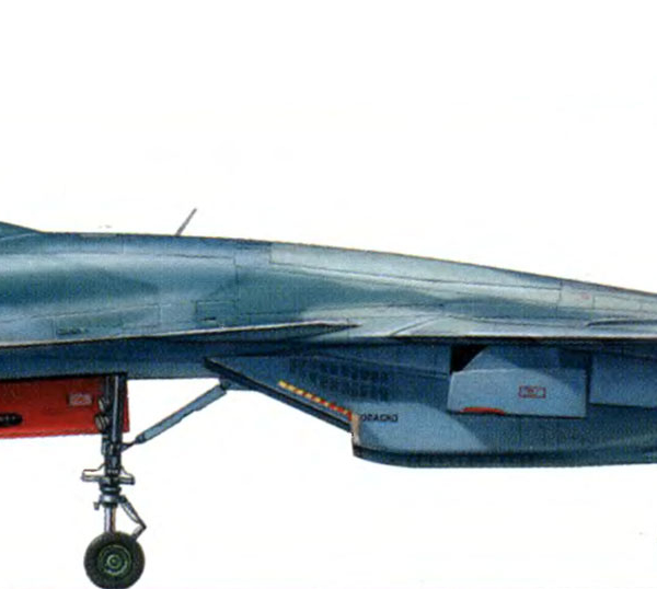 13б.Су-33. Рисунок.