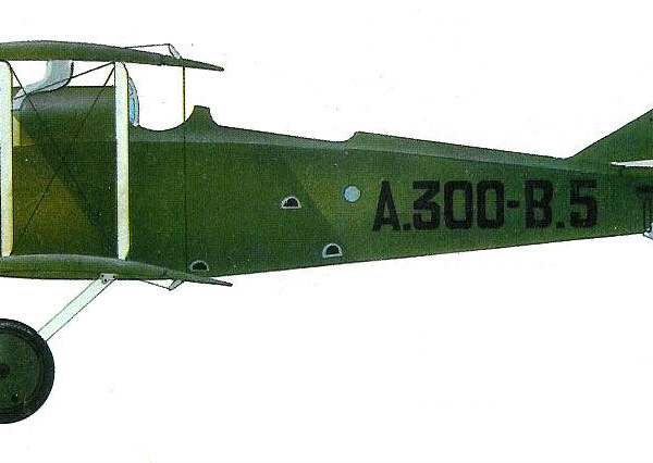 11.Ansaldo А-300-3. ВВС Польши. Рисунок.