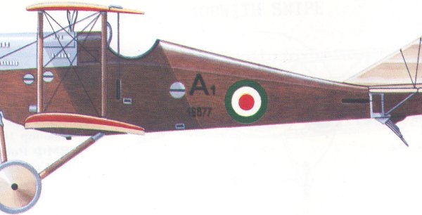 14.Ansaldo A.1 Ballila. ВВС Италии. Рисунок.