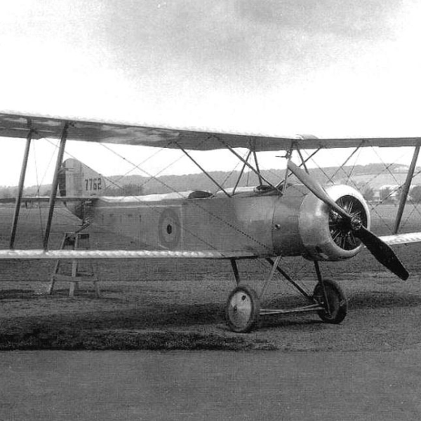 7.Sopwith 1 1-2 Strutter ВВС Бельгии.