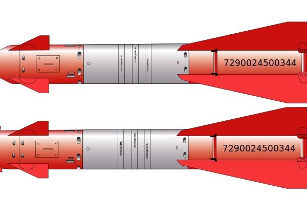 10.Учебные варианты ракет Х-29Л и Х-29Т. Рисунок.